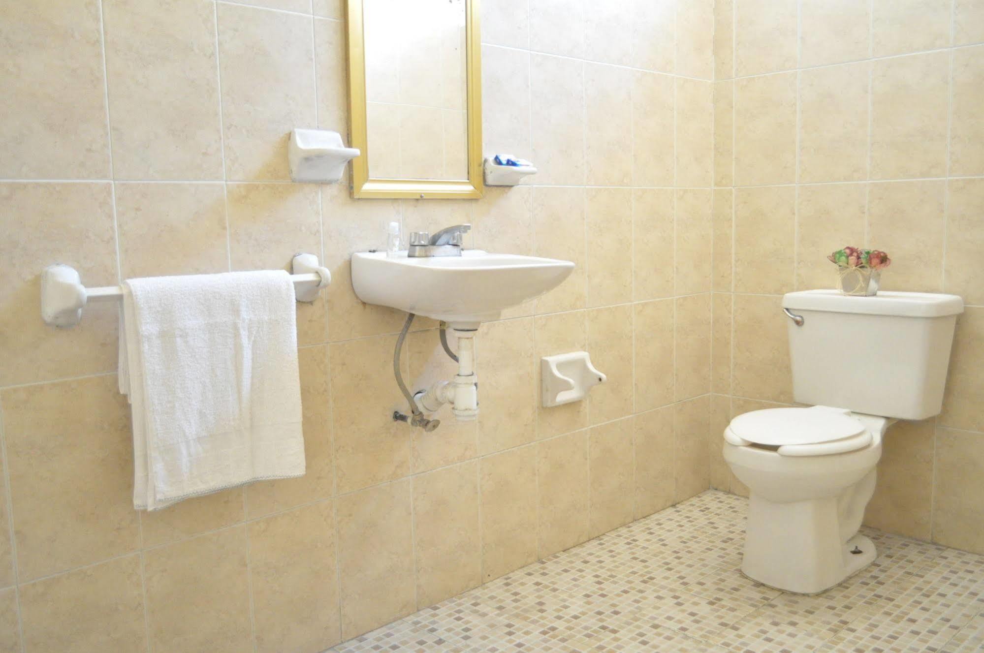 Hotel San Carlos Irapuato Ngoại thất bức ảnh